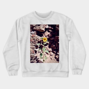 Sunflower in front of castle wall Crewneck Sweatshirt